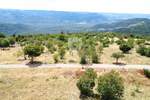 Zemljiste, Oprtalj, prodaja, 210000 €, 9181 m2