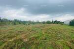 Zemljiste, Banjole, prodaja, 238000 €, 0 m2
