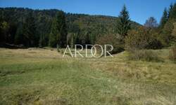 Zemljiste, Čabar, prodaja, 35000 €, 3712 m2