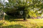 Kuca, Labin, prodaja, 99600 €, 237 m2