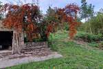 Kuca, Gračišće, prodaja, 100000 €, 190 m2