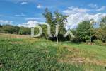 Zemljiste, Pićan, prodaja, 135000 €, 4950 m2