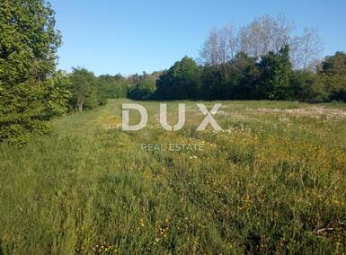 Zemljiste, Pazin, Stari Pazin, prodaja, 300000 €, 5118 m2