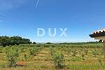 Kuca, Novigrad, prodaja, 1100000 €, 165 m2
