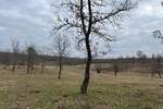 Zemljiste, Vižinada, prodaja, 879000 €, 8289 m2