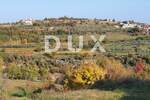 Zemljiste, Buje, Momjan, prodaja, 571000 €, 2800 m2
