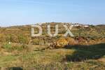 Zemljiste, Buje, Momjan, prodaja, 571000 €, 2800 m2