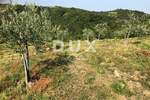 Zemljiste, Cerovlje, Draguć, prodaja, 500000 €, 117535 m2