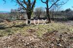 Zemljiste, Marčana, Rakalj, prodaja, 135000 €, 1303 m2