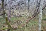 Zemljiste, Buzet, Sveti Donat, prodaja, 73000 €, 14858 m2