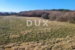 Zemljiste, Buzet, Sveti Donat, prodaja, 105000 €, 14619 m2