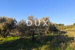 Zemljiste, Vodnjan, Galižana, prodaja, 41500 €, 1892 m2