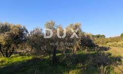 Zemljiste, Vodnjan, Galižana, prodaja, 41500 €, 1892 m2