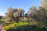 Zemljiste, Vodnjan, Galižana, prodaja, 41500 €, 1892 m2
