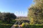 Zemljiste, Vodnjan, Galižana, prodaja, 41500 €, 1892 m2