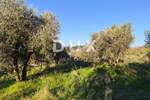 Zemljiste, Vodnjan, Galižana, prodaja, 41500 €, 1892 m2