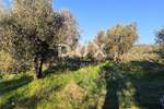 Zemljiste, Vodnjan, Galižana, prodaja, 41500 €, 1892 m2