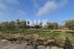 Zemljiste, Buje, prodaja, 262000 €, 1494 m2