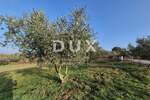 Zemljiste, Buje, prodaja, 262000 €, 1494 m2