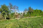 Zemljiste, Motovun, prodaja, 290000 €, 9212 m2