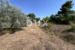 Zemljiste, Privlaka, prodaja, 93900 €, 626 m2