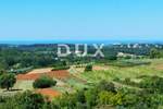 Kuca, Vižinada, prodaja, 1650000 €, 354 m2