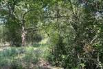 Zemljiste, Pićan, prodaja, 47000 €, 3380 m2