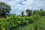 Zemljiste, Labin, prodaja, 71000 €, 1176 m2