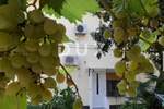 Trosoban stan, Opatija, Opatija - Centar, prodaja, 400000 €, 96 m2