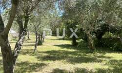 Zemljiste, Zadar, Kožino, prodaja, 335830 €, 781 m2