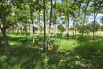 Zemljiste, Kanfanar, prodaja, 77500 €, 1600 m2