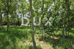 Zemljiste, Kanfanar, prodaja, 77500 €, 1600 m2