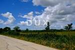 Zemljiste, Benkovac, Tinj, prodaja, 69000 €, 1567 m2