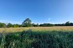Zemljiste, Barban, prodaja, 39500 €, 5445 m2
