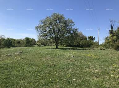 Zemljiste, Barban, Šajini, prodaja, 100560 €, 0 m2