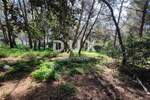 Zemljiste, Pula, Stoja, prodaja, 500000 €, 592 m2