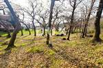 Zemljiste, Opatija, Oprić, prodaja, 270000 €, 2740 m2