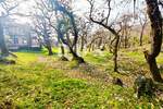 Zemljiste, Opatija, Oprić, prodaja, 270000 €, 2740 m2