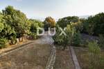 Kuca, Rijeka, Bivio, prodaja, 589000 €, 318 m2