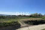 Zemljiste, Buje, prodaja, 260000 €, 1335 m2