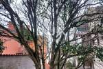 Stan, Medulin, Banjole, prodaja, 220000 €, 81 m2