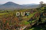 Zemljiste, Motovun, prodaja, 199000 €, 4646 m2