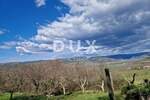 Zemljiste, Motovun, prodaja, 199000 €, 4646 m2