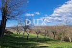 Zemljiste, Motovun, prodaja, 199000 €, 4646 m2