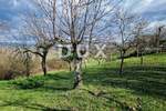 Zemljiste, Motovun, prodaja, 199000 €, 4646 m2