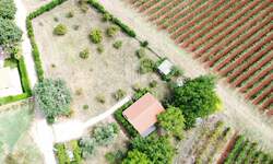 Kuca, Poreč, prodaja, 385000 €, 73 m2