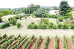 Kuca, Poreč, prodaja, 385000 €, 73 m2