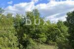 Zemljiste, Svetvinčenat, prodaja, 9000 €, 1000 m2