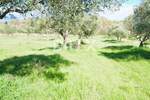 Zemljiste, Bale, prodaja, 240000 €, 16169 m2