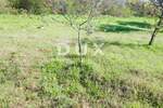 Zemljiste, Bale, prodaja, 240000 €, 16169 m2